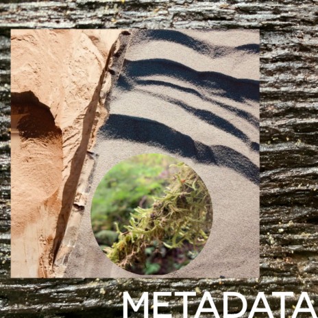 Metadata | Boomplay Music