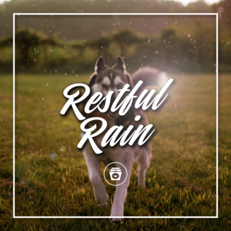 Warm Rain | Boomplay Music