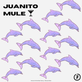 Juanito Mule lyrics | Boomplay Music