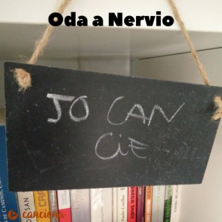 Oda a Nervio