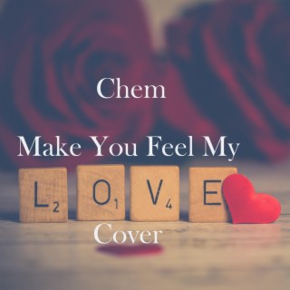 Make You Feel My Love (Cover)