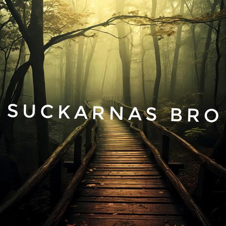 Suckarnas bro (Remastered) | Boomplay Music