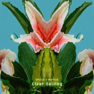 Clear Sailing