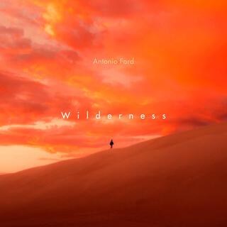 Wilderness lyrics | Boomplay Music