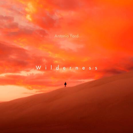 Wilderness | Boomplay Music