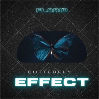 Butterfly Effect