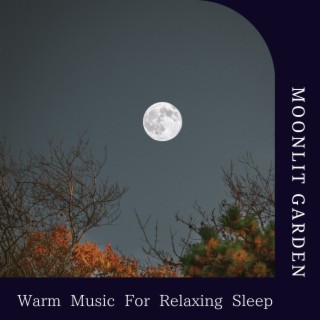 Warm Music For Relaxing Sleep