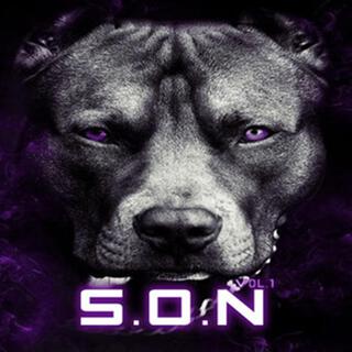 S.O.N, Vol. 1