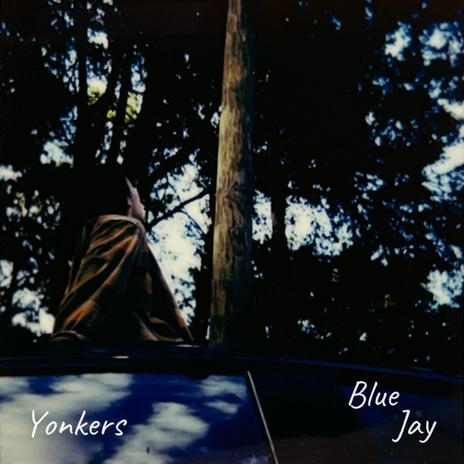 Yonkers | Boomplay Music