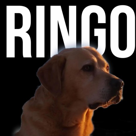 Ringo | Boomplay Music