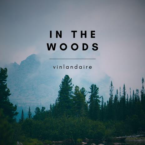 In the woods | Boomplay Music