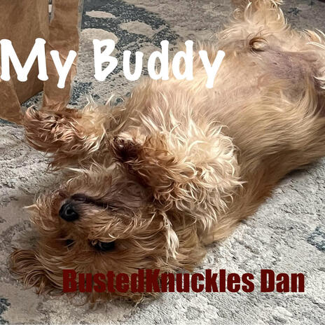 My Buddy | Boomplay Music