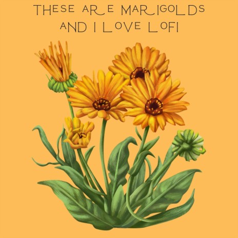 These Are Marigolds and i Love Lofi | Boomplay Music