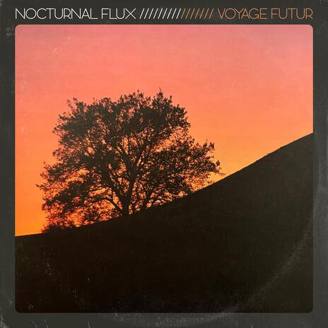 Nocturnal Flux