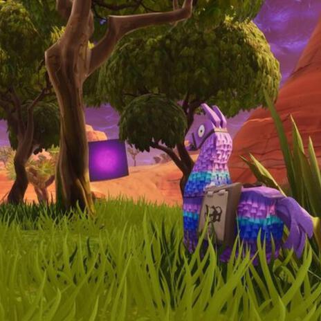 loot llama!