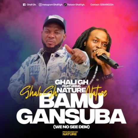 Bamu Gansuba (We No See Dem) ft. Nature | Boomplay Music