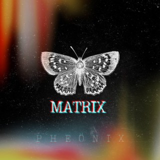 Matrix