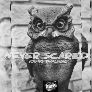 Never Scared