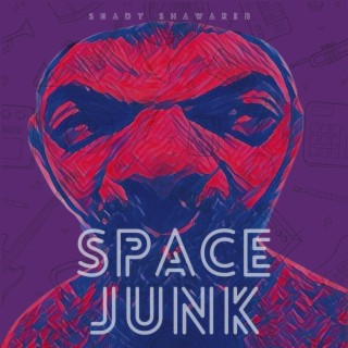 Space Junk