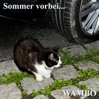 Sommer vorbei :(