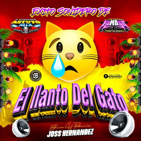 El Llanto del Gato | Boomplay Music