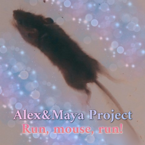 Run, Mouse, run! ft. Maya Project