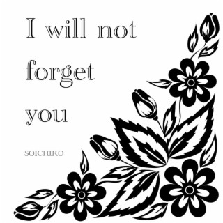 I Will Not Forget You