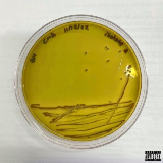 PETRI DISH