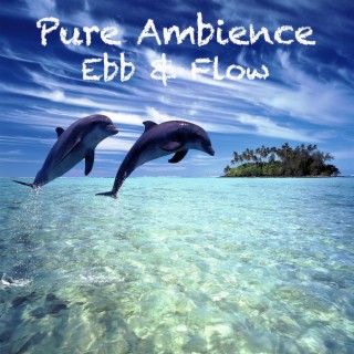 Pure Ambience - Ebb & Flow