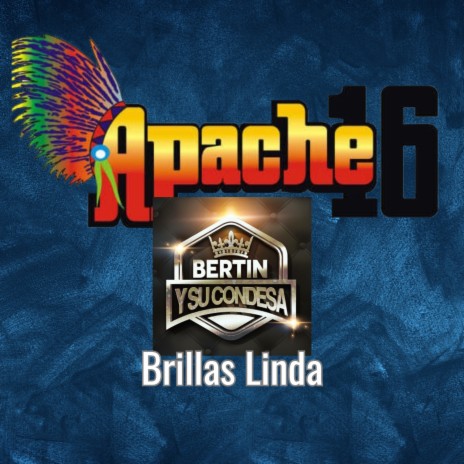 Brillas Linda ft. Bertín y Su Condesa | Boomplay Music