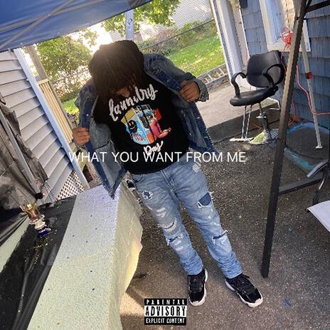 WHAT YOU WANT FROM ME | Boomplay Music