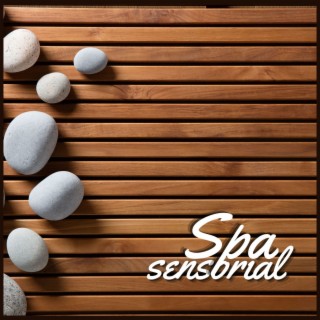 Spa Sensorial: Música Envuelta en Tranquilidad para Nutrir Cuerpo y Mente