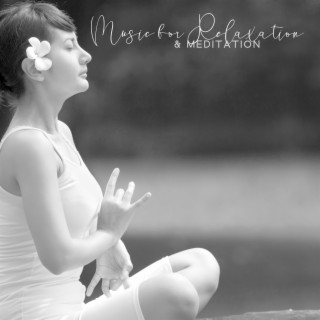 Music for Relaxation & Meditation: Zen Mood