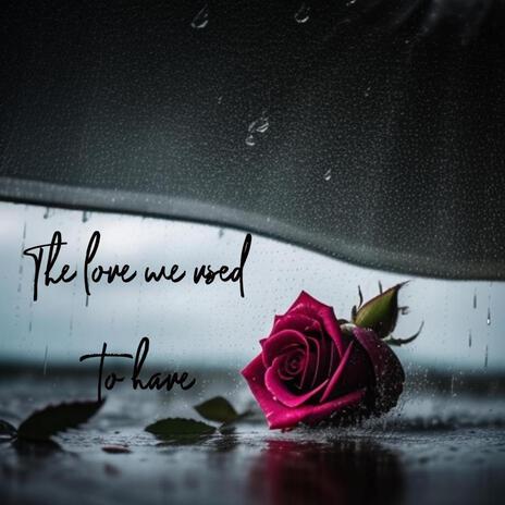 The Love We Used to Have | Boomplay Music