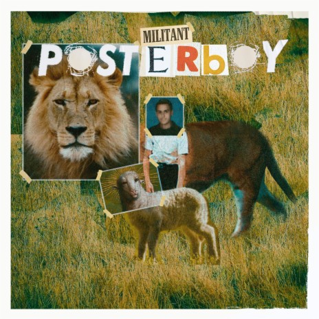 Poster Boy | Boomplay Music