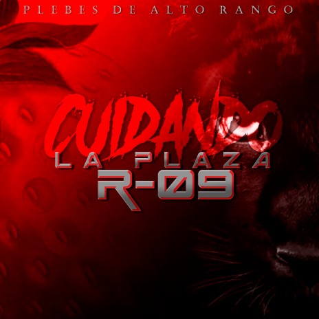 Cuidando la Plaza (R-09) | Boomplay Music