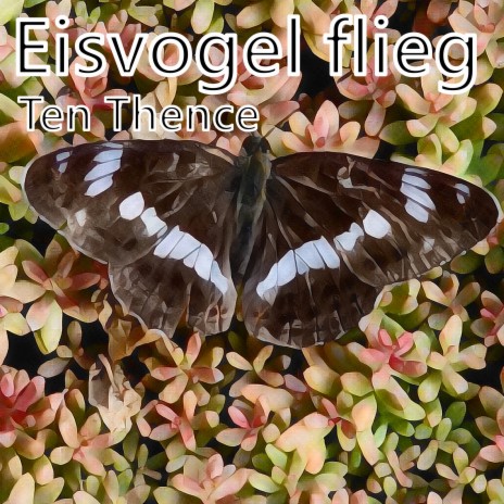 Eisvogel flieg (Maxi Version) | Boomplay Music