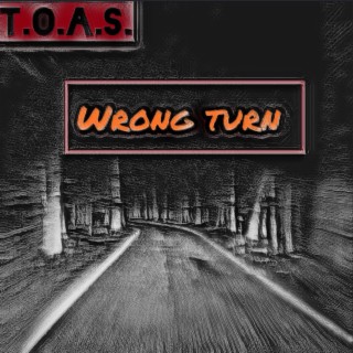 T.O.A.S. Wrong Turn