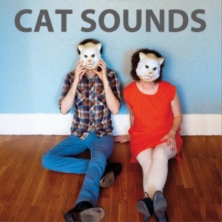 Cat Sounds