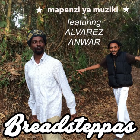 Mapenzi ya Muziki ft. Alvarez Anwar