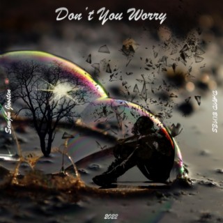 Don't You Worry ft. DAVID BOIES lyrics | Boomplay Music