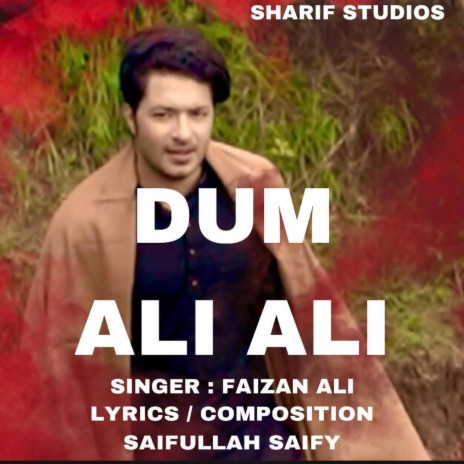 Dum Ali Ali ft. Faizan Ali