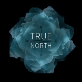 True North