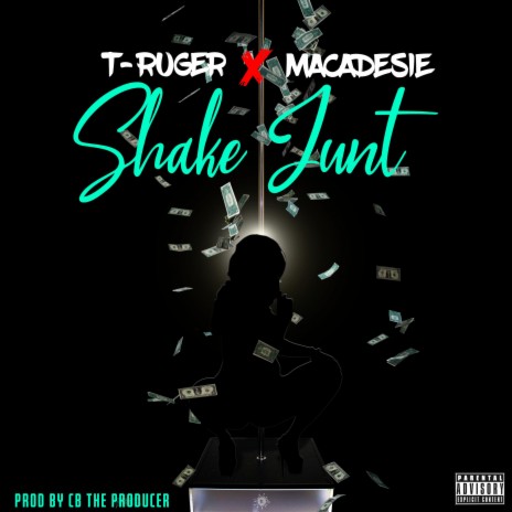 Shake Junt ft. T-Ruger