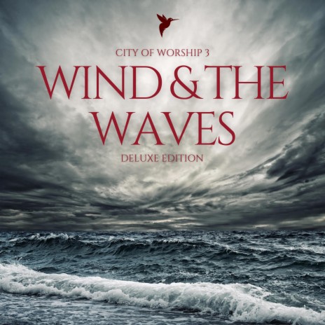 The Wind and the Waves ft. SNT DVD & Blessingtone