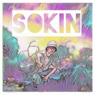 Sokin