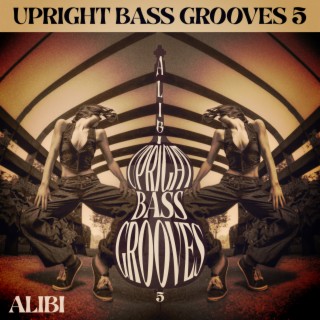 Upright Bass Grooves, Vol. 5