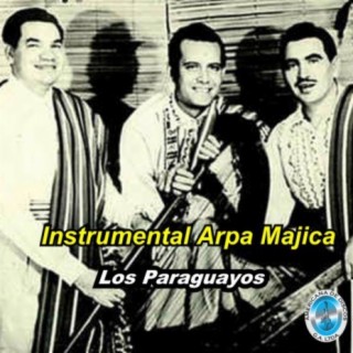 Instrumental Arpa Majica
