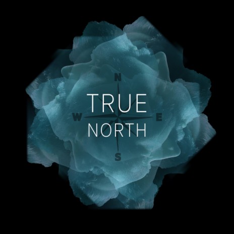 True North | Boomplay Music