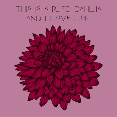 This Is a Red Dahlia and i Love Lofi | Boomplay Music